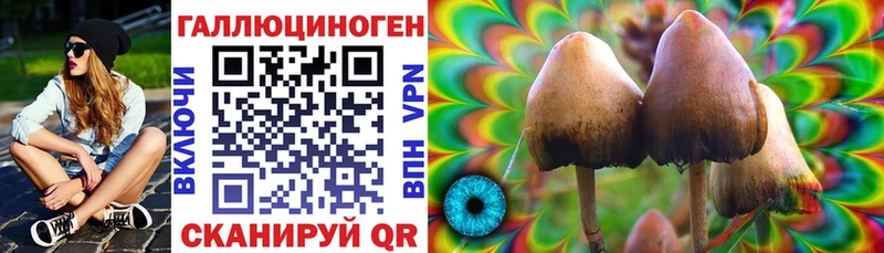 блэк спрут ONION  Татарск  Псилоцибиновые грибы Psilocybe  где купить наркоту 